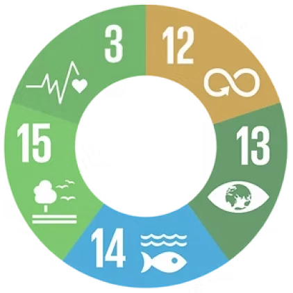 Area de Atuação do Instituto Retriz