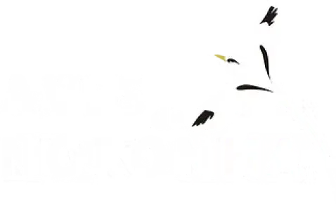 Logo Aves de Noronha