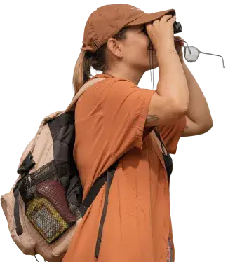 Vem Passarinhar Aves de Noronha_