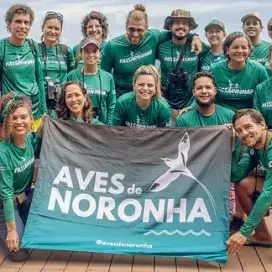 Vem Passarinhar Noronha - Aves de Noronha